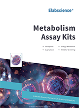 Metabolism Assay Kits Brochure(2025)